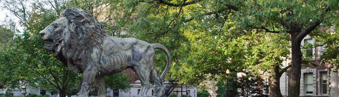 Columbia Lion statue