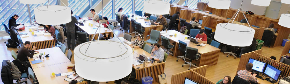 Students studying in library