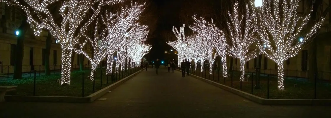WinterLightsCollegeWalk.jpg